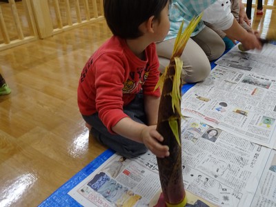 長くて大きい竹の子!