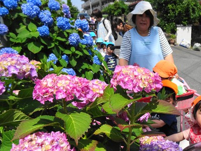 きれいに咲いているね