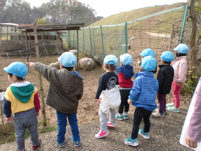 モコモコヒツジさん