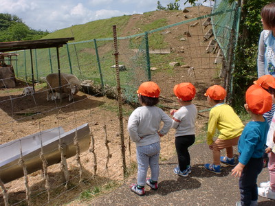 モコモコのヒツジ