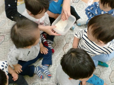 アルファ米って粉みたい