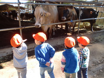牛さん大きいね〜