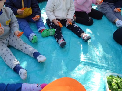 最初は野菜から