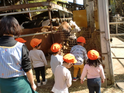 大きな牛がいました。